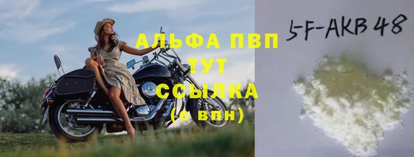 ECSTASY Краснослободск