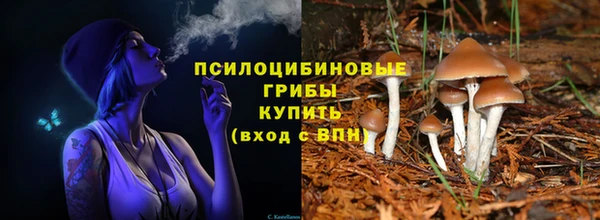 ECSTASY Краснослободск