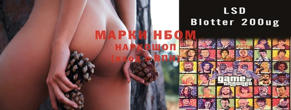 ECSTASY Краснослободск