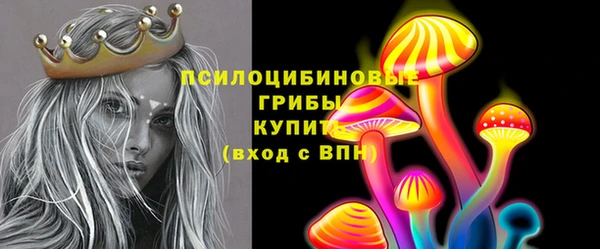 ECSTASY Краснослободск