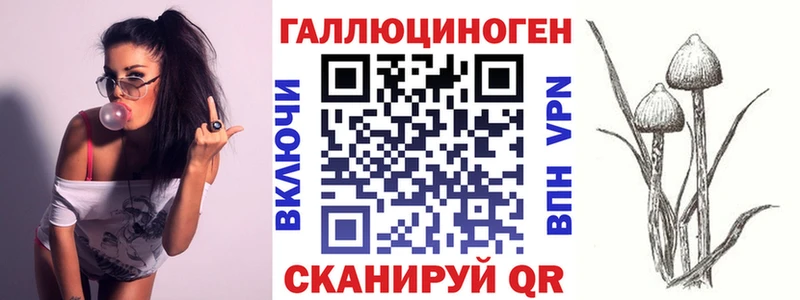 Псилоцибиновые грибы мицелий Бердск
