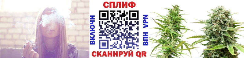 где купить наркоту  Бердск  Конопля план 